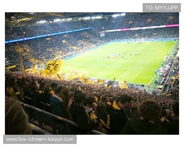 米兰双雄新球场方案细节曝光，符合欧冠决赛标准耗资7亿欧元